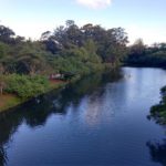 Ibirapuera-Park-Lake-640×480.jpg
