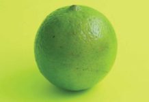 Limes – Rich Abundance of Vitamin C