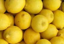 Lemons and a Lemon Bar Recipe