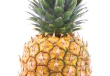 Pineapple – Trivia and Information