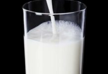 Milk – Trivia and Information