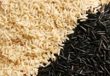 Facts About Rice – Interesting Trivia