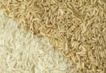 White vs Brown Rice – Nutritional Facts and Trivia