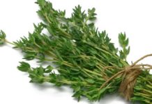 Thyme – Rich in Flavanoids, Saponins and other Antioxidants