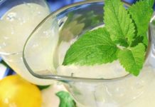 Mint – An Aromatic Perennial Herb