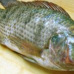food-402.jpg