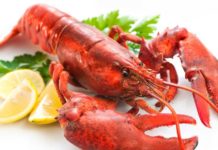 Types of Lobsters – Clawed and Spiny Lobster