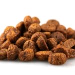 dog-4.jpg