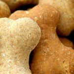 dog-634.jpg