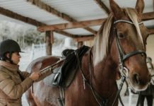How To Give Your Horse The Equipment They Need