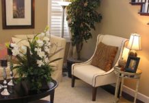 Watering Plants with Distilled Water