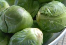 Brussels Sprouts – A Tasty Vegetable