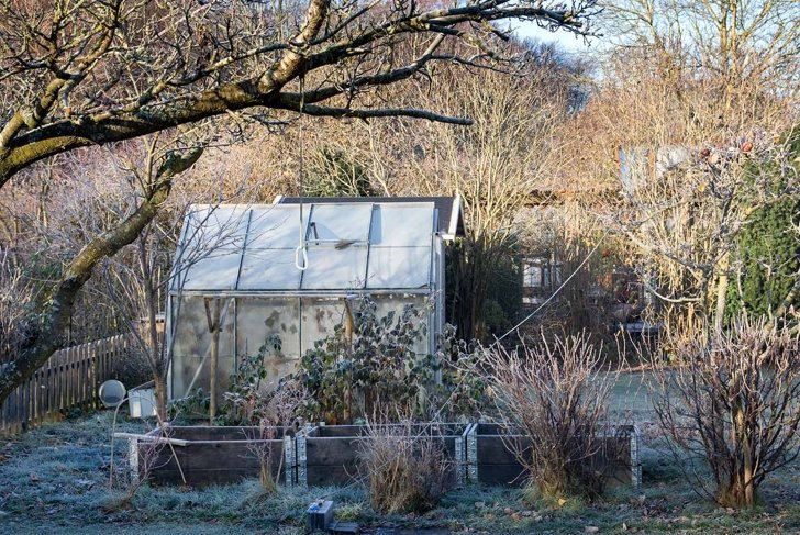 7 Ways to Get Your Garden Ready for Winter
